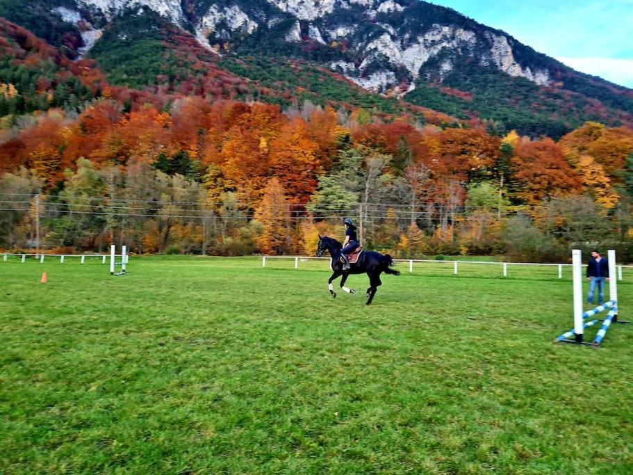 Cosy Family Apartment Reichenau Bagian luar foto