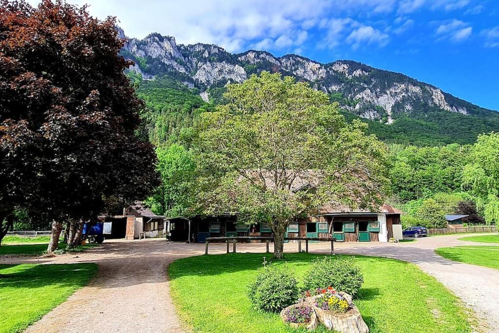 Cosy Family Apartment Reichenau Bagian luar foto