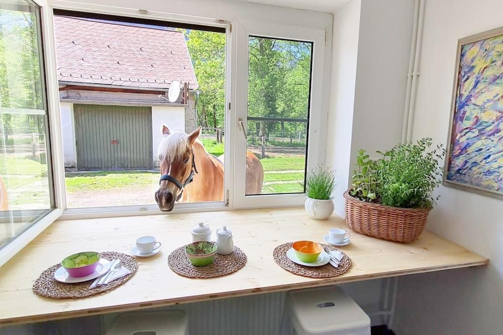Cosy Family Apartment Reichenau Bagian luar foto